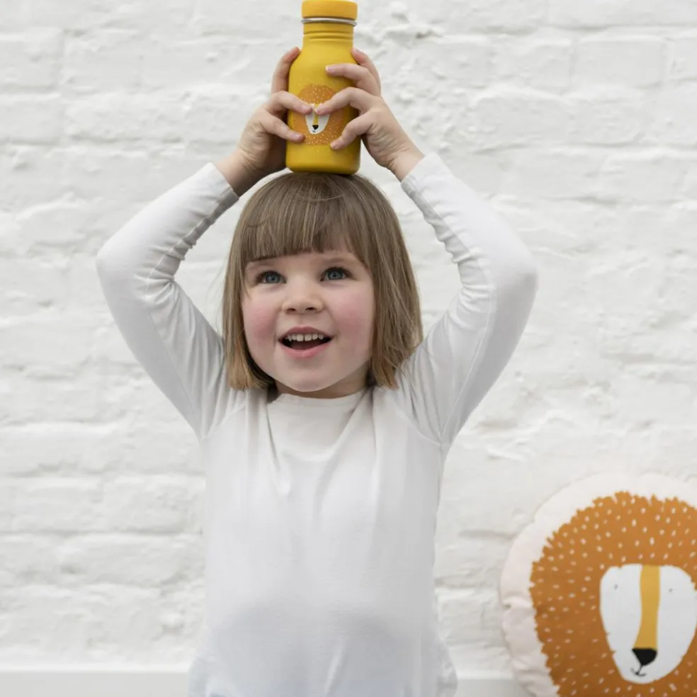 Gourde Mr. Lion (350 ml)