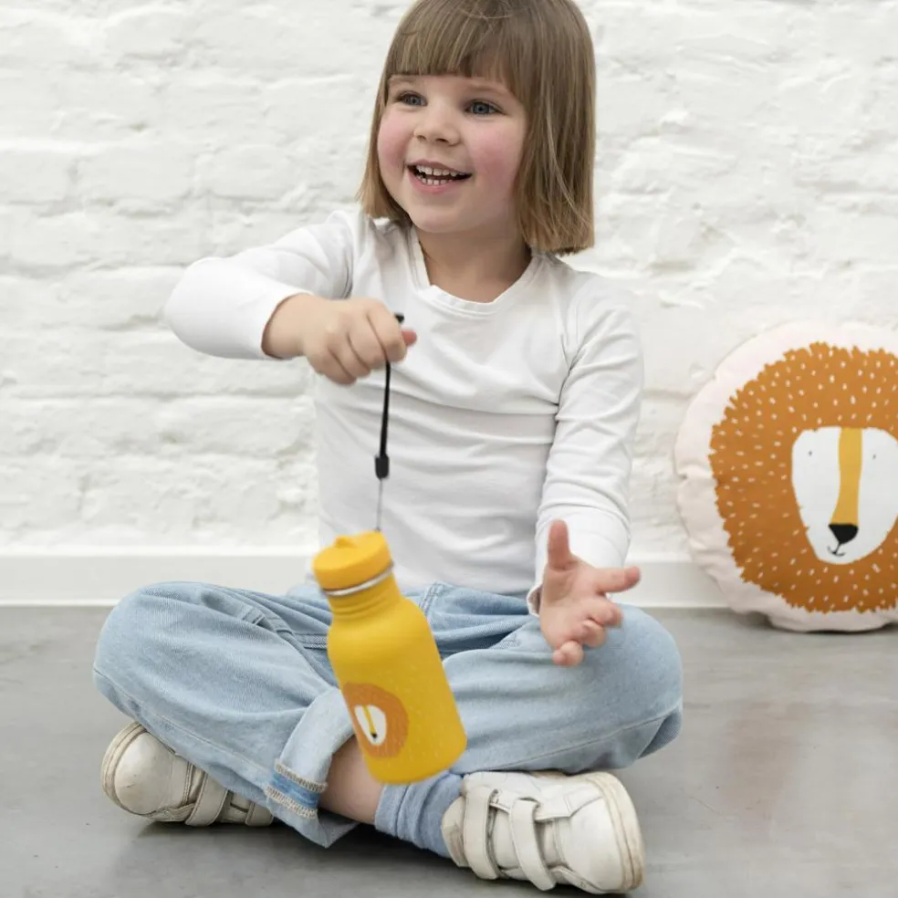 Gourde Mr. Lion (350 ml)