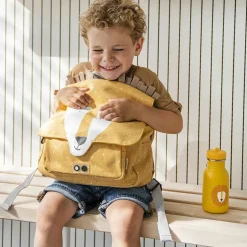 Gourde Mr. Lion (350 ml)