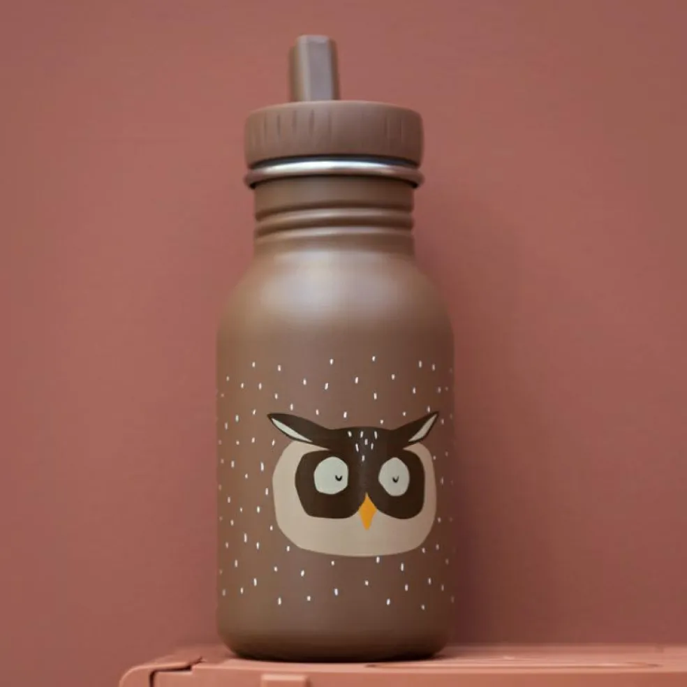 Gourde Mr. Owl (350 ml)