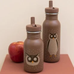 Gourde Mr. Owl (350 ml)