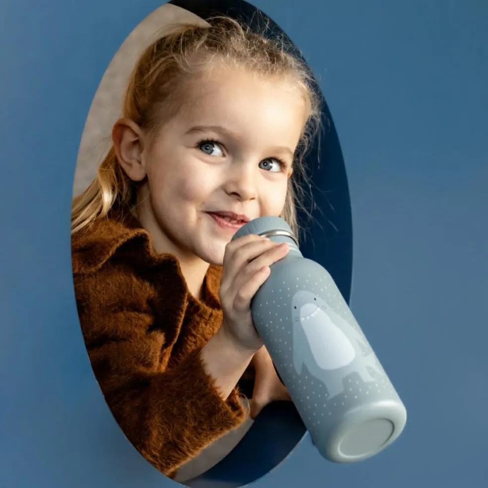 Gourde Mr. Shark (500 ml)