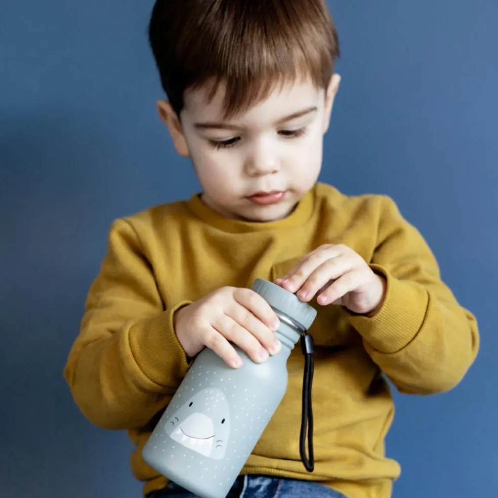 Gourde Mr. Shark (350 ml)