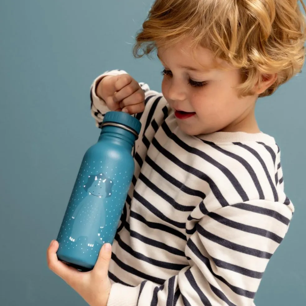 Gourde Mr. Triceratops (500 ml)