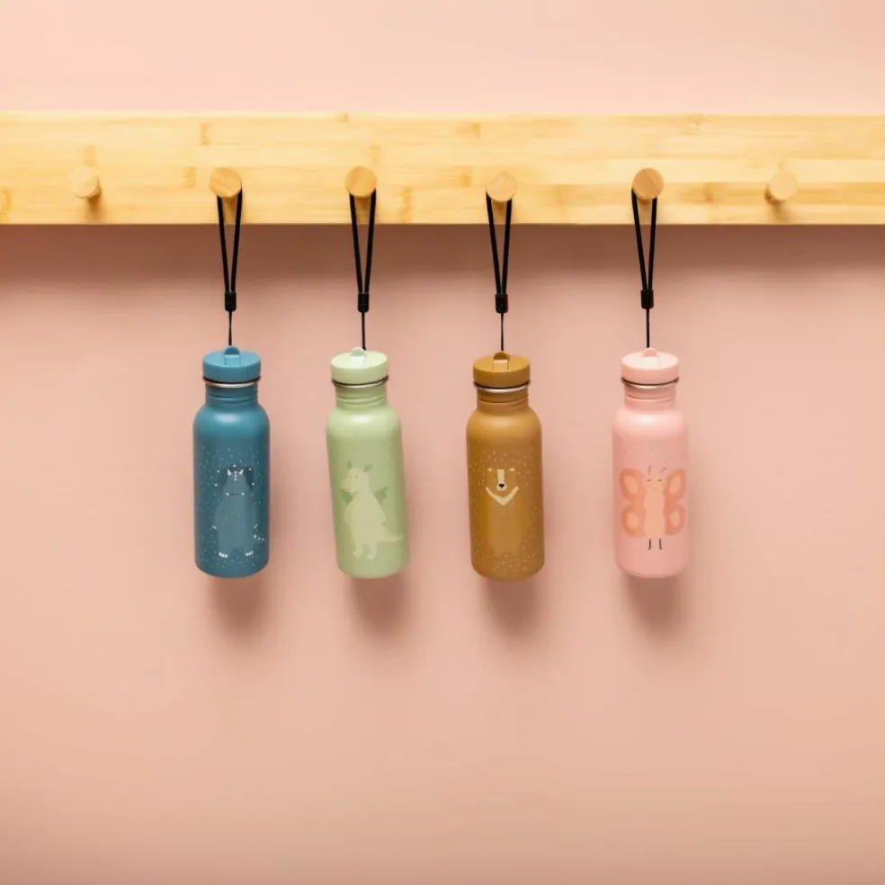 Gourde Mr. Triceratops (500 ml)