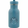 Gourde Mr. Triceratops (350 ml)