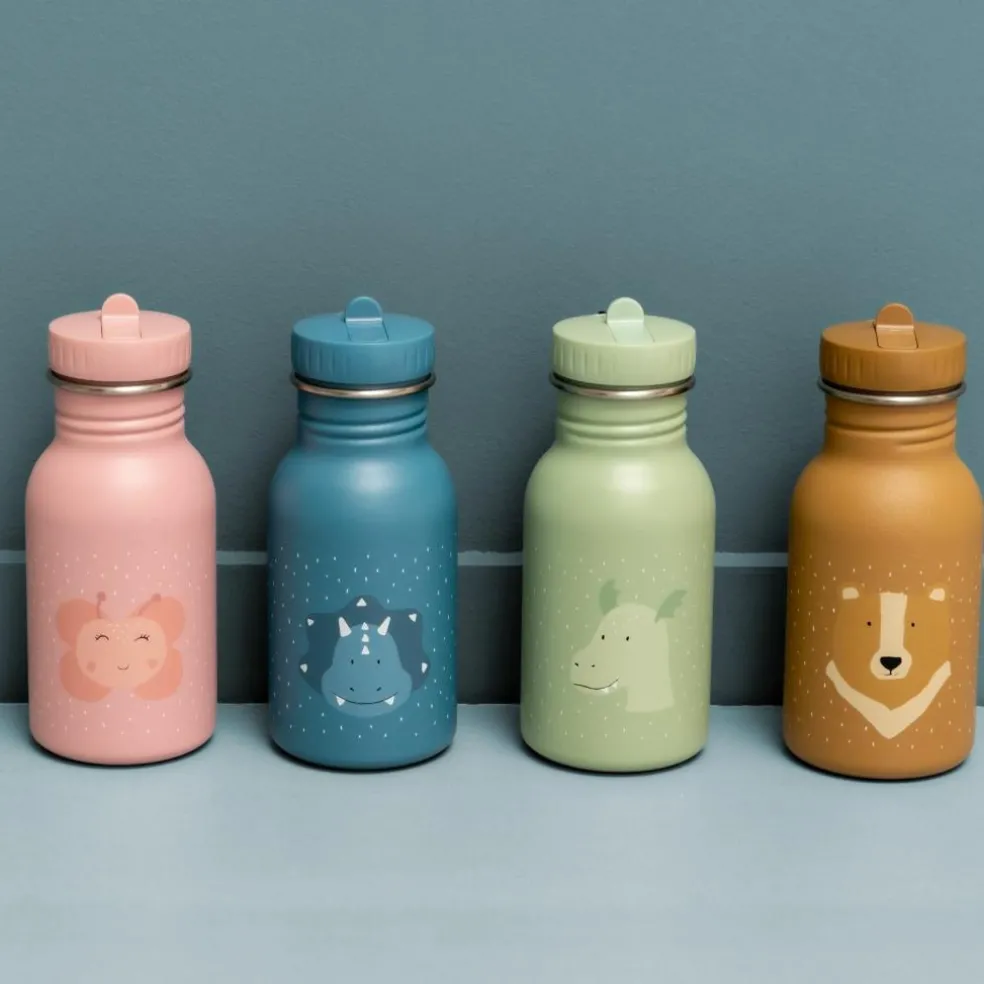 Gourde Mr. Triceratops (350 ml)