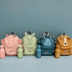 Gourde Mr. Triceratops (350 ml)