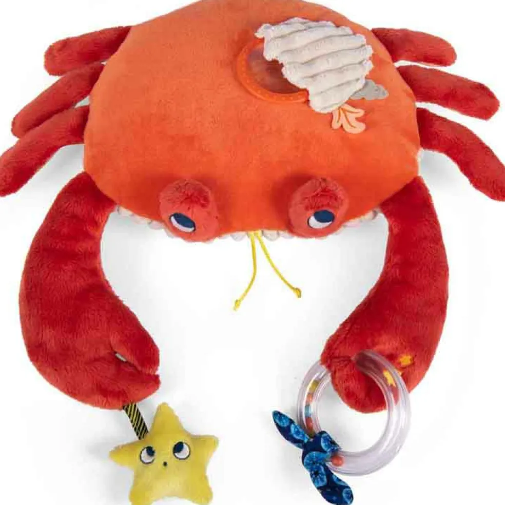 Grand crabe d'activités Les aventures de Paulie