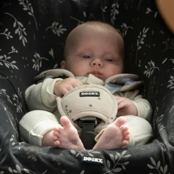 Housse pour siège auto Romantic Leaves Black (groupe 0+)