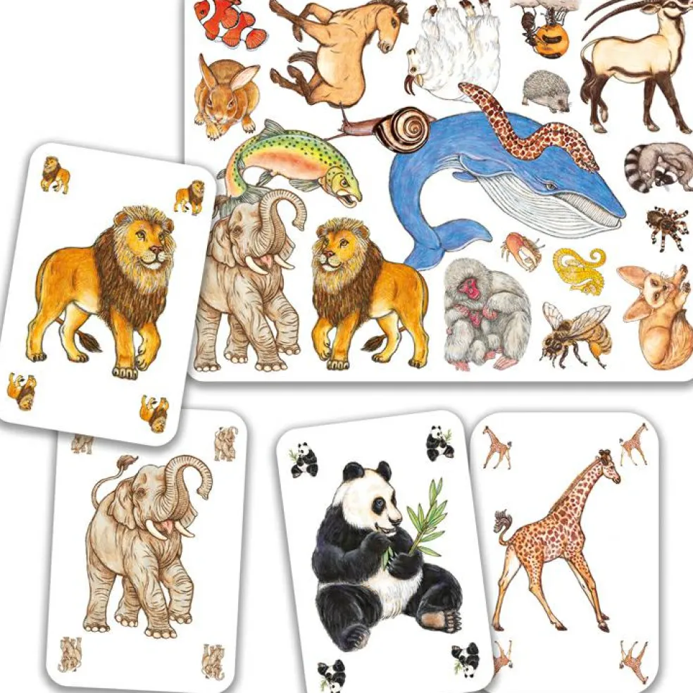 Jeu d'observation et de rapidité Zanimatch