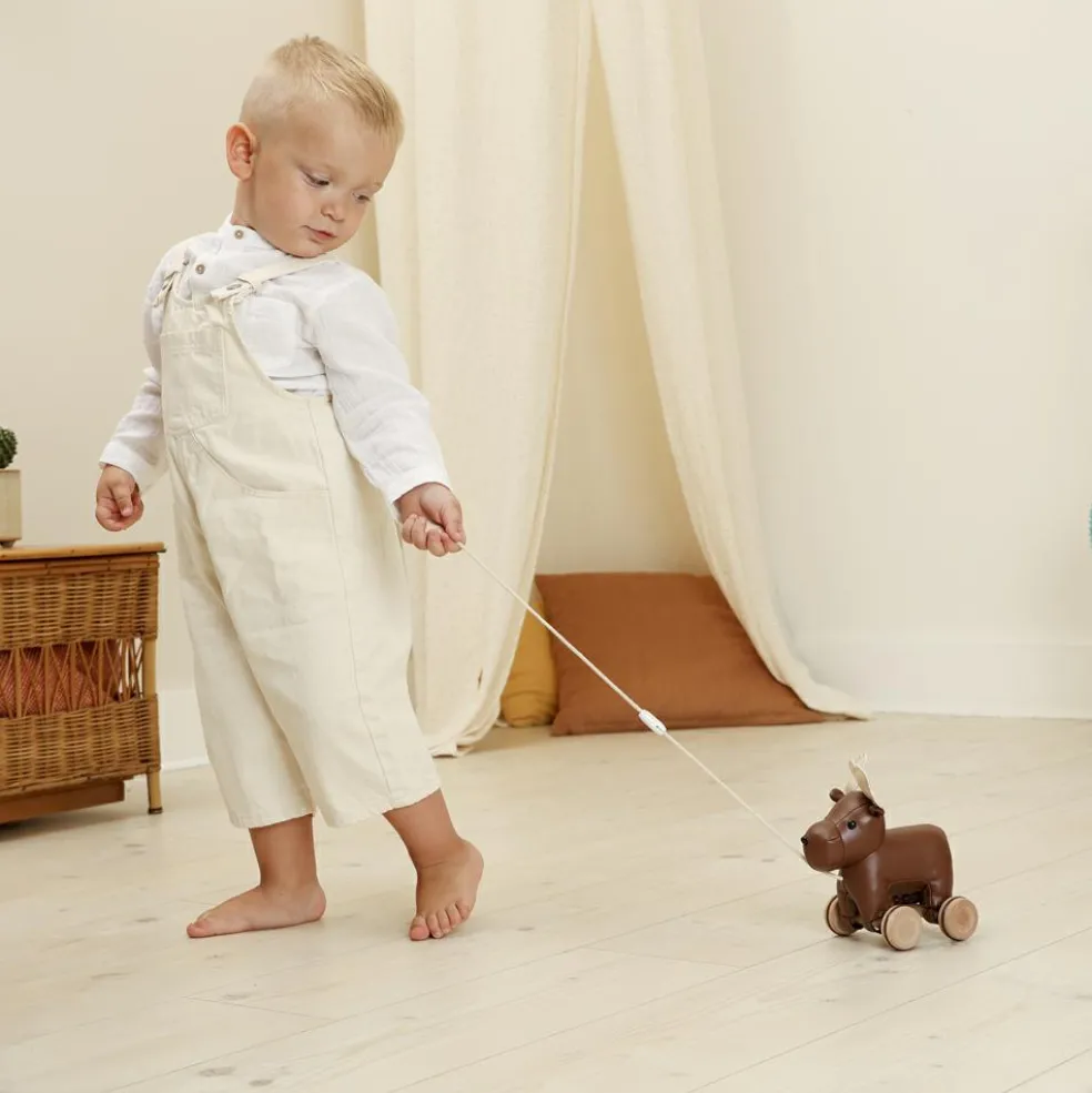 Jouet à tirer Bruce l'Elan