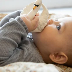 Jouet de bain Cygne