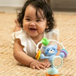 Jouet de table ventouse Raton Laveur