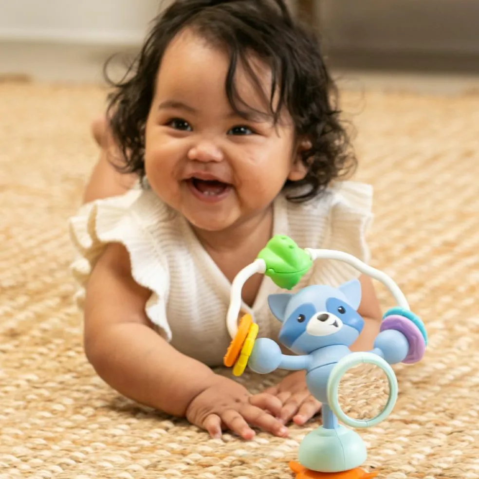 Jouet de table ventouse Raton Laveur