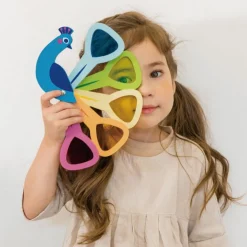 Jouet éducatif Couleurs de paon