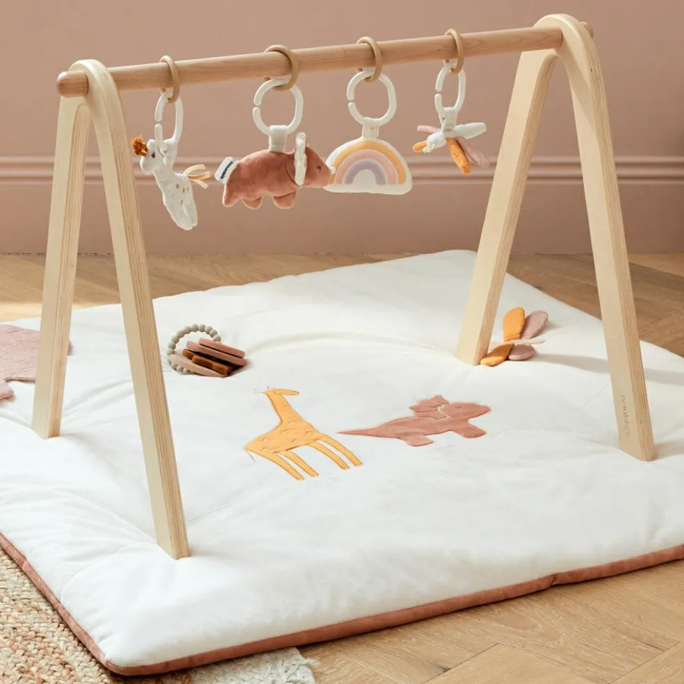 Jouets pour arche d'activités Popsie (4 pièces)