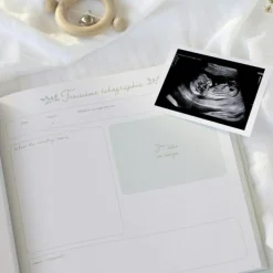 Journal de grossesse