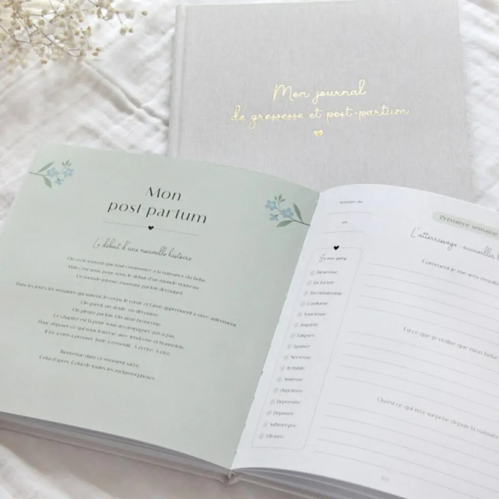 Journal de grossesse et post-partum