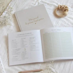 Journal de grossesse et post-partum