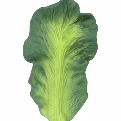 Kendall la feuille de chou en latex d'hévéa