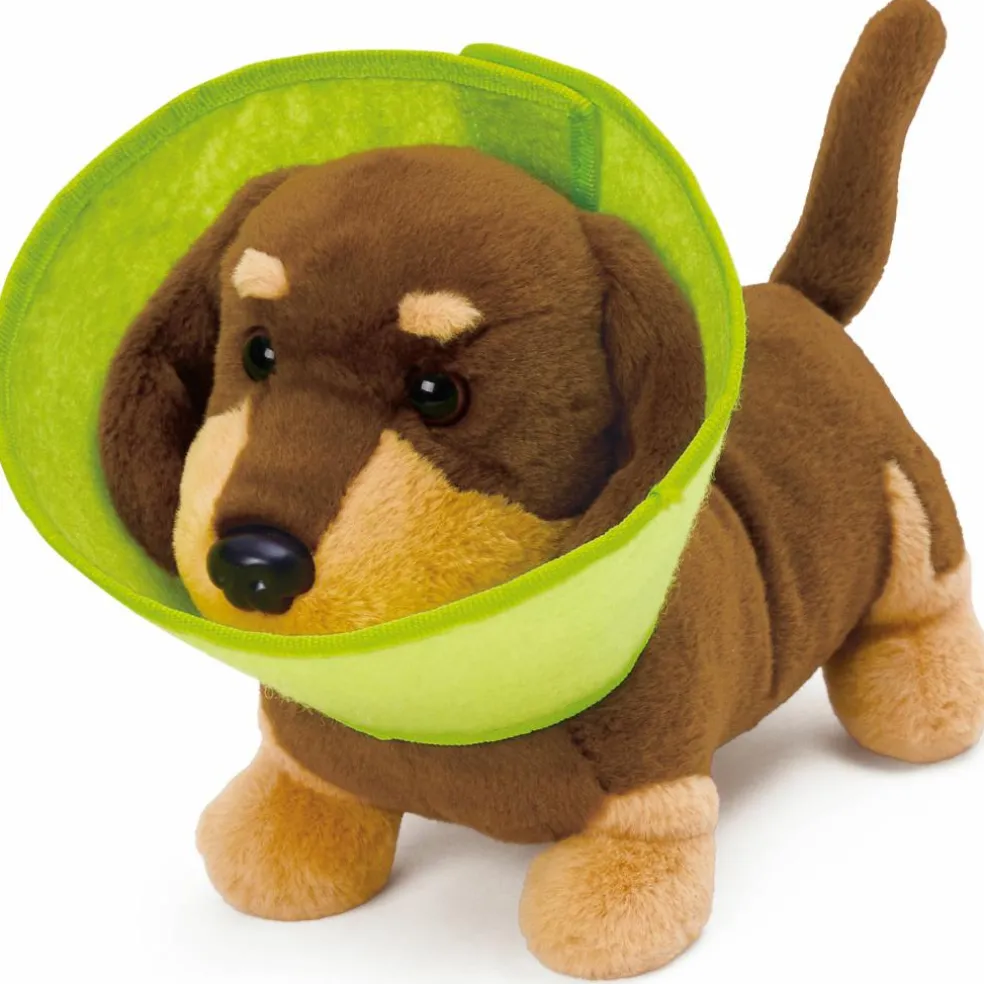 Kit du petit vétérinaire