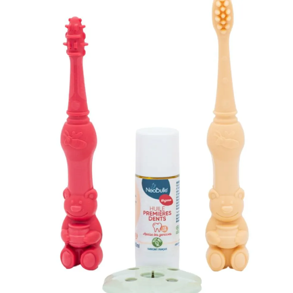 Kit éducatif poussée dentaire