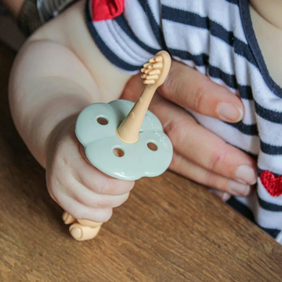 Kit éducatif poussée dentaire