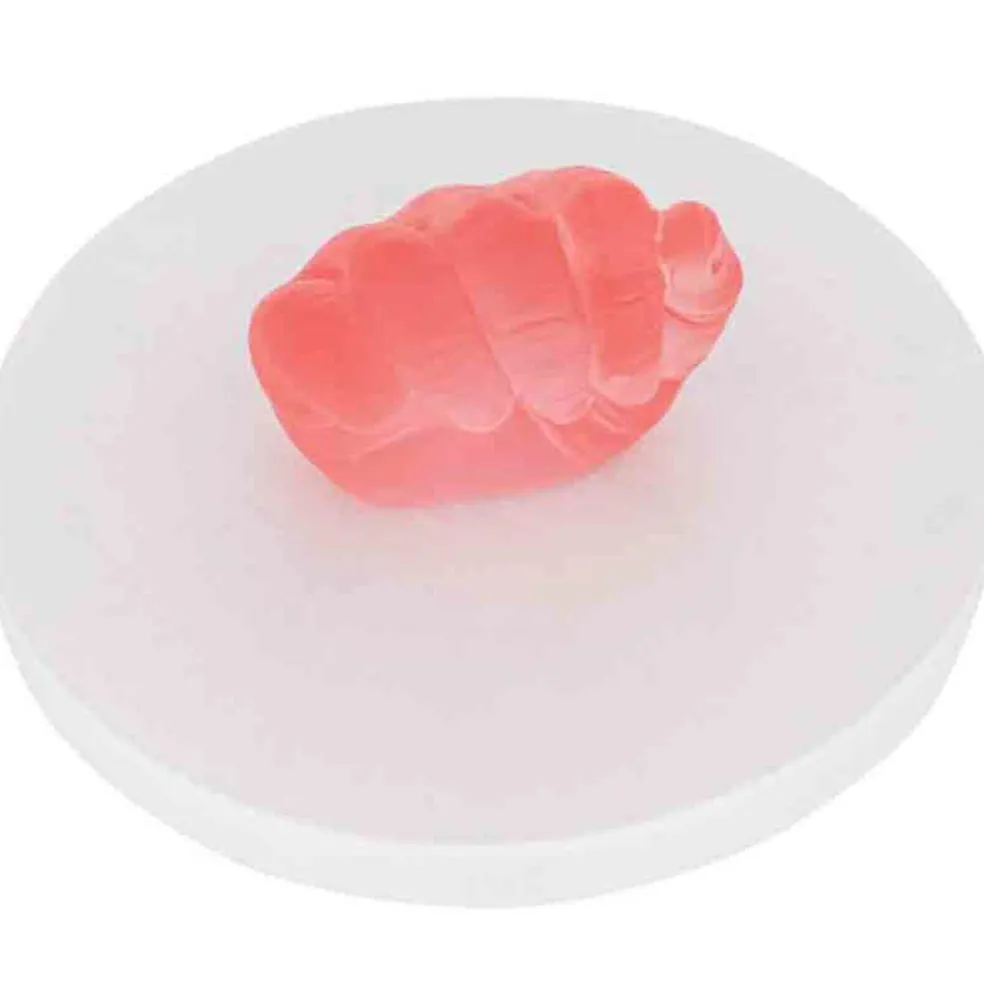 Kit empreinte de main 3D Crystal Memories