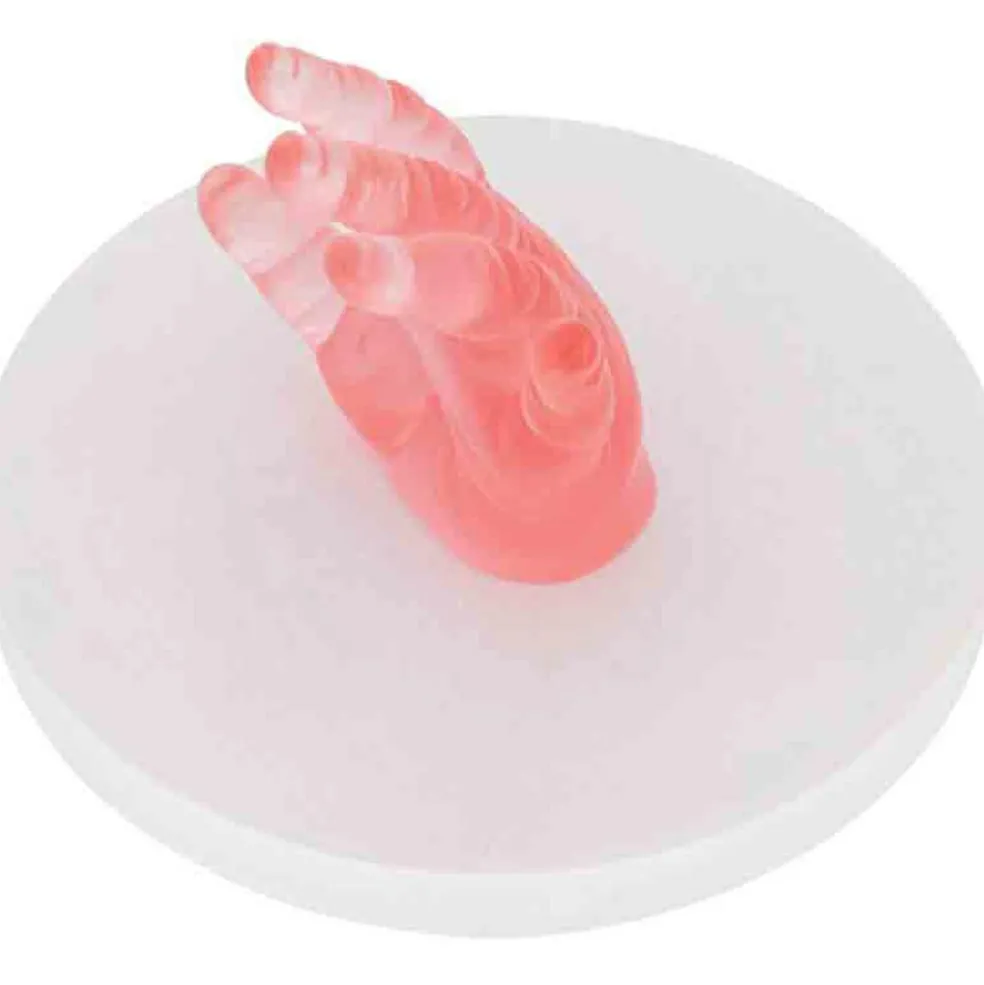 Kit empreinte de main 3D Crystal Memories