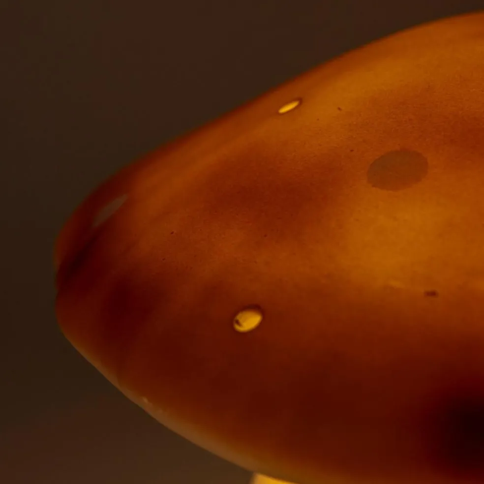 Lampe veilleuse champignon Chocolat