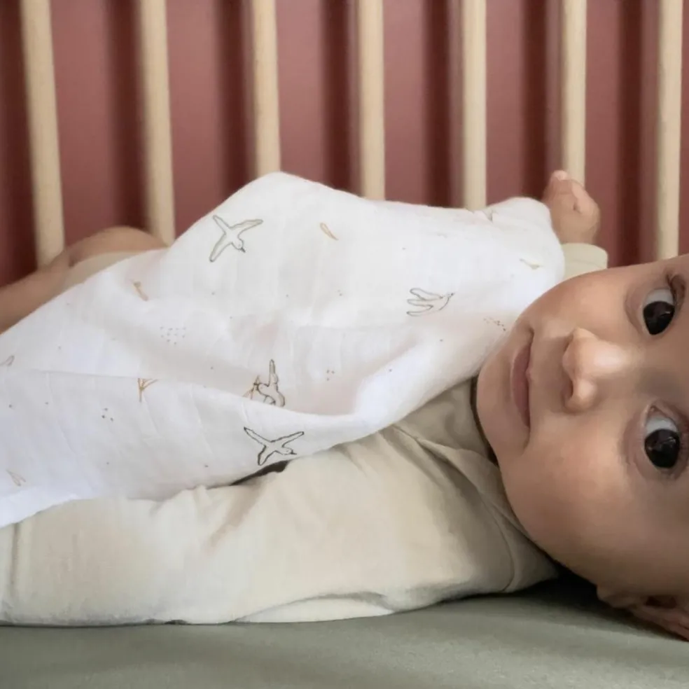 Lange L'Envolée (70 x 70 cm)