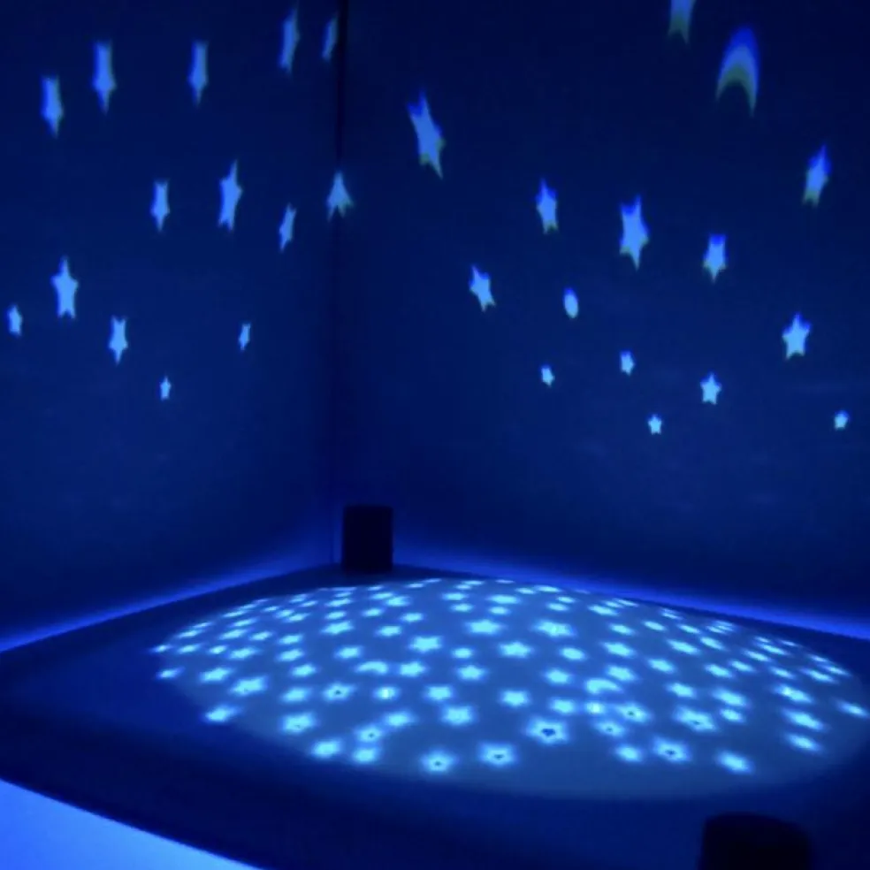 Lanterne magique musicale Révolution 2.0 Le Lac des cygnes