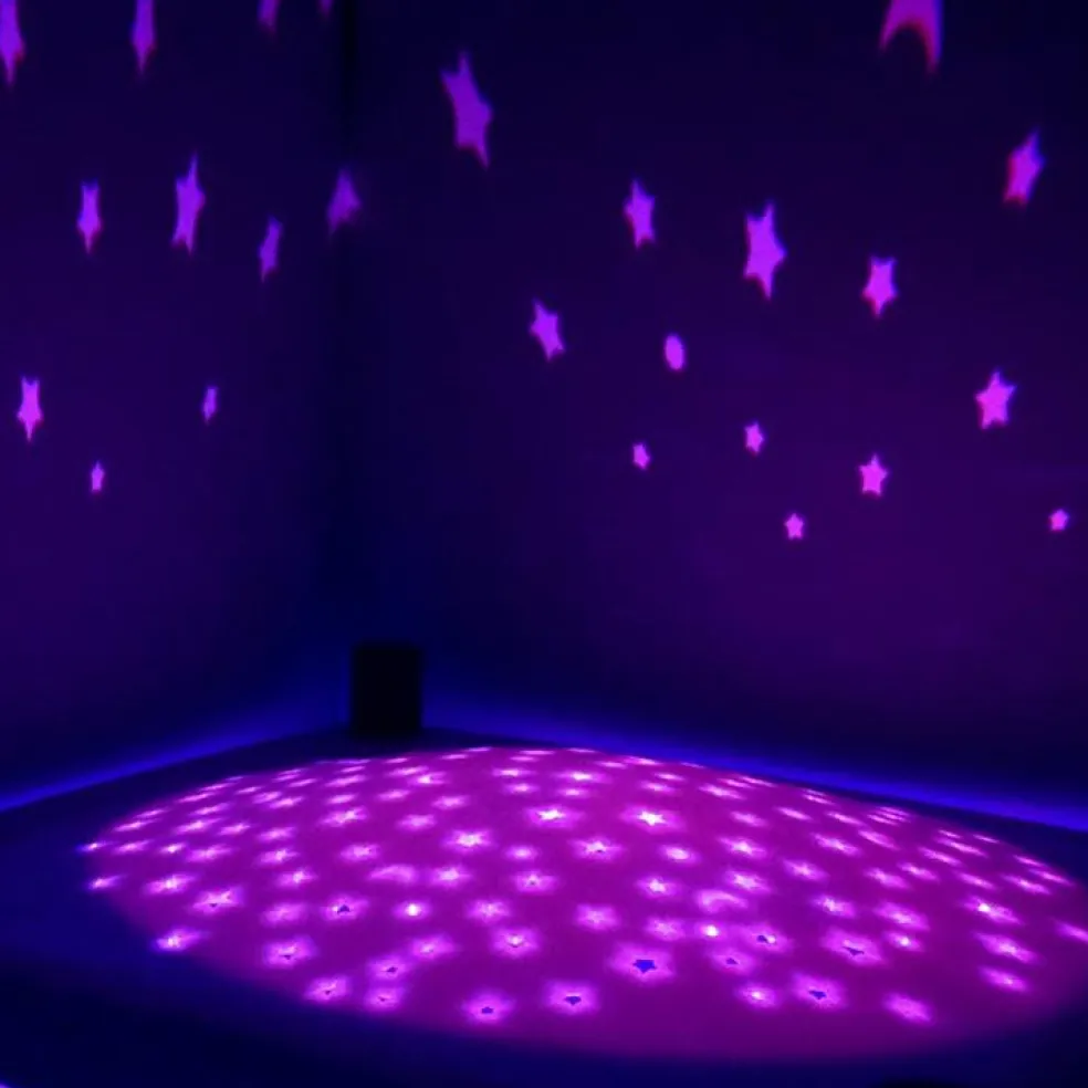 Lanterne magique musicale Révolution 2.0 Le Lac des cygnes