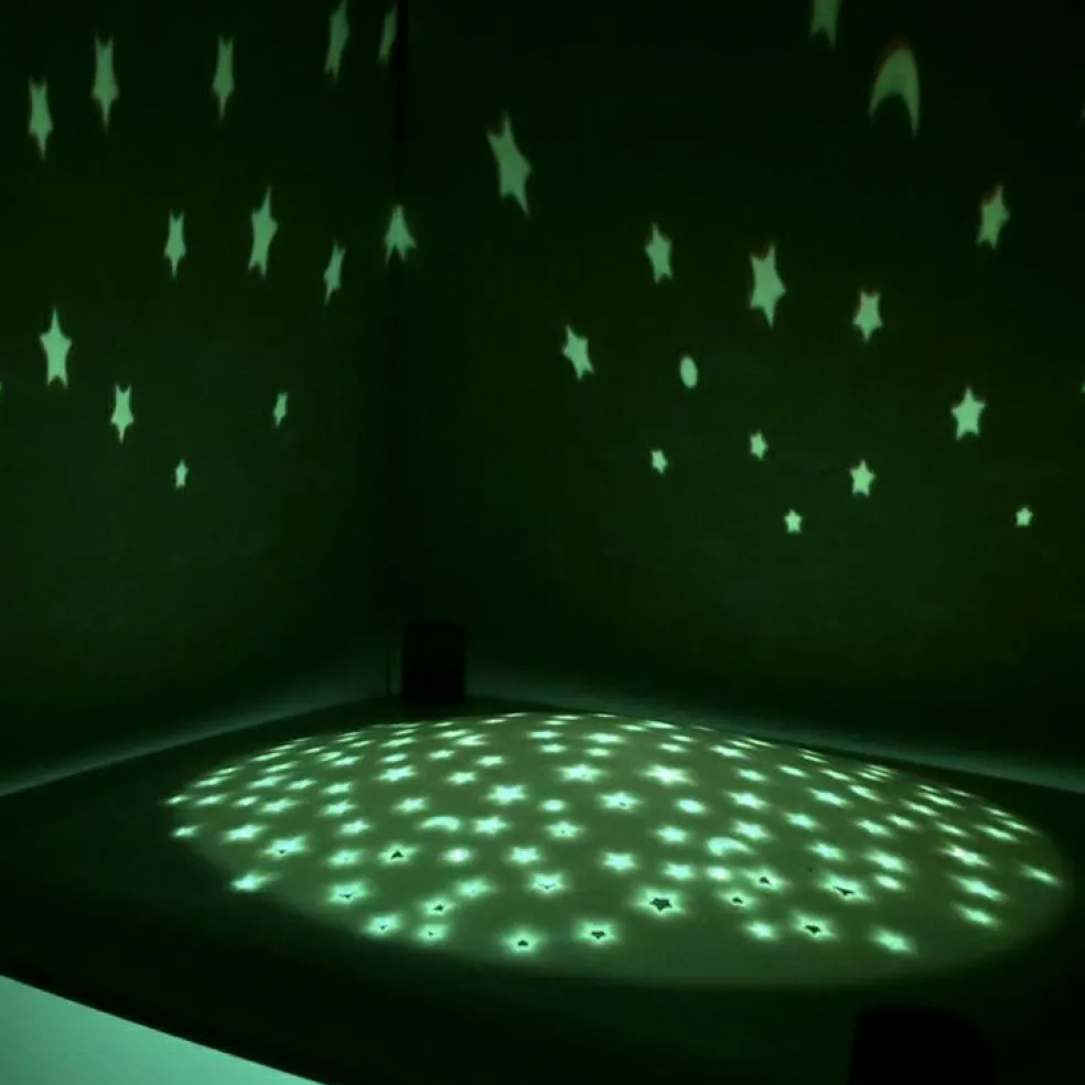 Lanterne magique musicale Révolution 2.0 Le Lac des cygnes