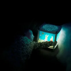 Lanterne magique musicale Révolution 2.0 Pierre Lapin