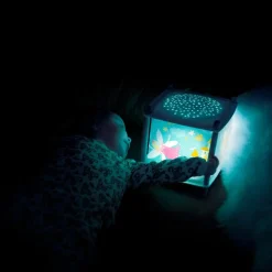 Lanterne magique musicale Révolution 2.0 Princesse