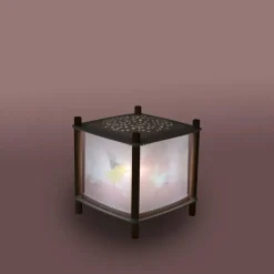 Lanterne magique Révolution 2.0 La petite école de danse