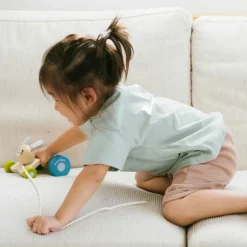 Lapin sautillant à tirer