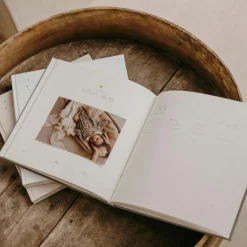 Livre de naissance Petit Amour Sauge