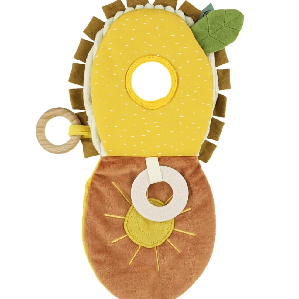 Livre d'éveil Mr. Lion