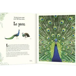 Livre L'anthologie illustrée des animaux fascinants