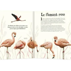 Livre L'anthologie illustrée des animaux fascinants