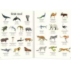 Livre L'anthologie illustrée des animaux fascinants