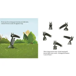 Livre Le loup qui apprivoisait ses émotions