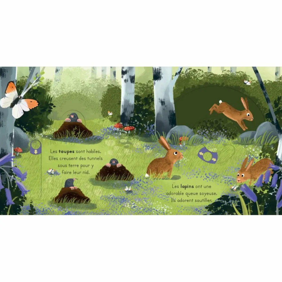 Livre les petits explorateurs - La forêt