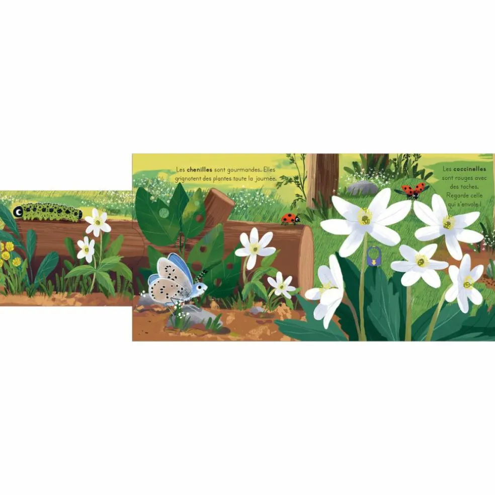 Livre les petits explorateurs - La forêt