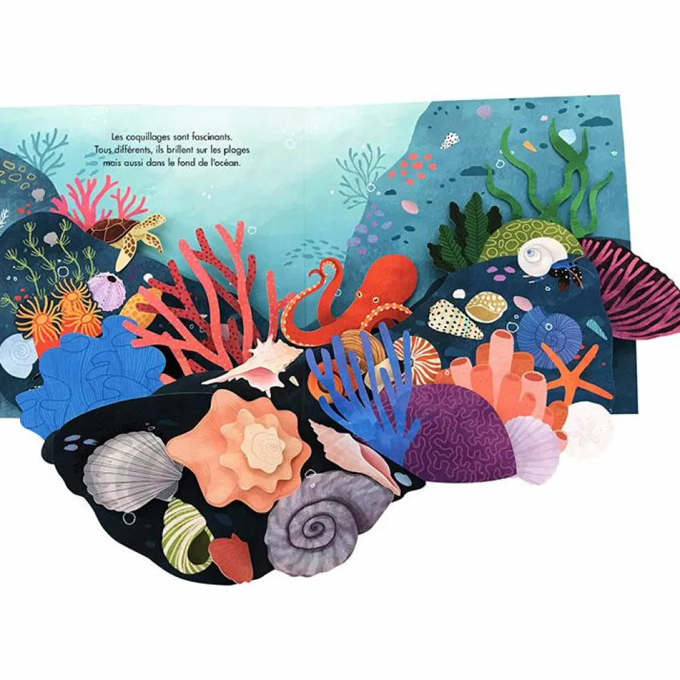 Livre pop-up Trésors de l'Océan