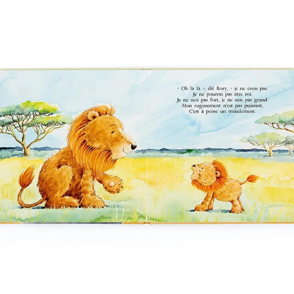 Livre Rory le courageux petit lion