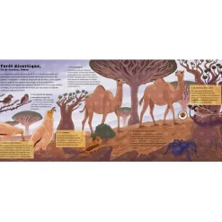 Livre sonore Le monde des forêts (collection Les sons de la nature)